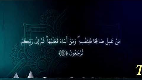 القارئ الشيخ محمود الشحات محمد انور ماتيسر من سورة الجاثيه