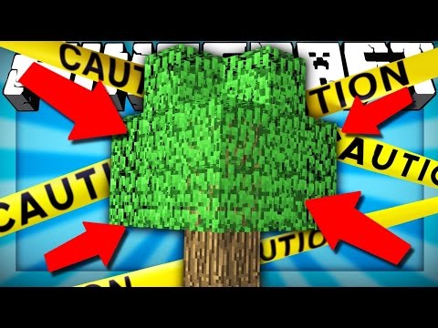 (minecraft)  თუ მინეცრაფტში მარტო ერთი ხე იყო