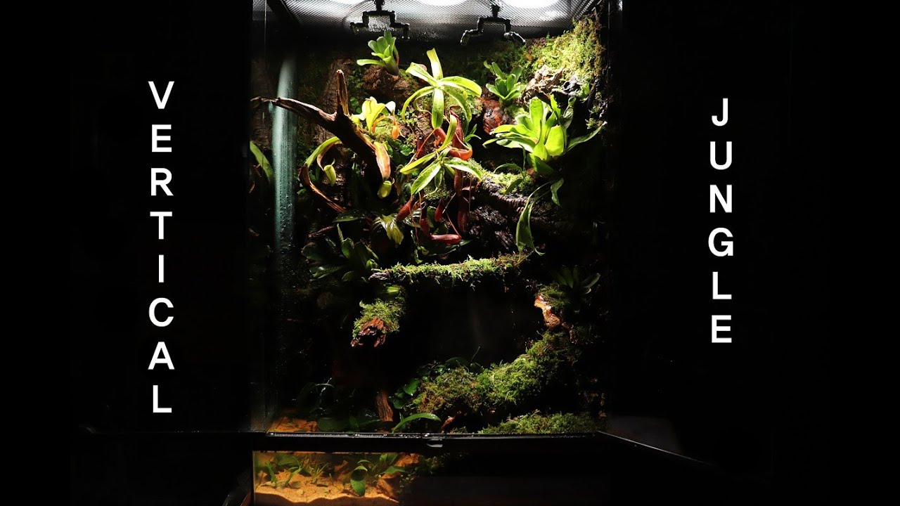 'Vertical Jungle With Waterfall' 90cm Paludarium | '폭포가 흐르는 90cm 수직 정글' 팔루다리움 |