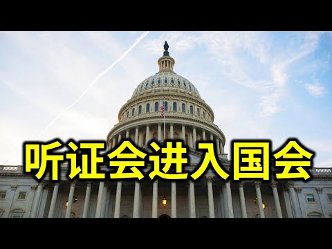 国会召开听证会！川普本来赢了，只要最高法院取证。扎克