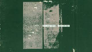 Tortoise - Djed (Bruise Blood Mix) Net Worth