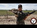 Caceria De Palomas Ala Blanca Con Rifle De Aire Comprimido