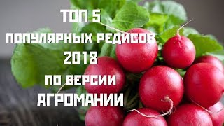 Топ 5 редисов в 2018 году