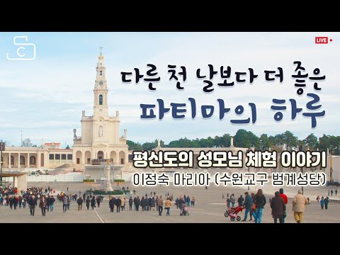 영상썸네일
