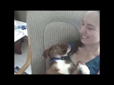 Funny Cute Girl Playing with Dog