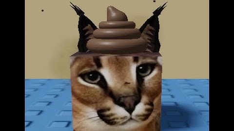 How to Find "Poop Floppa" In Find the Floppa Morphs