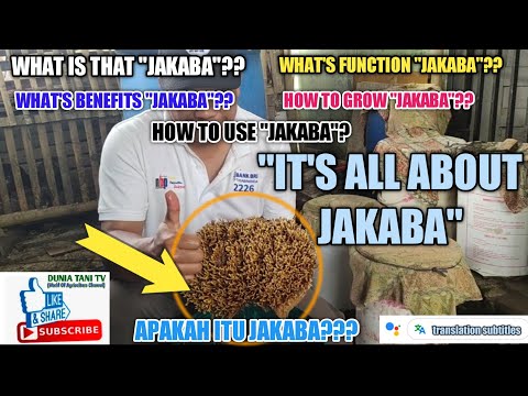 Video: Uenezi wa Mbegu za Jackfruit: Vidokezo vya Kukuza Jackfruit Kutoka kwa Mbegu