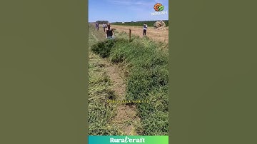 Level Up Your Mowing Game: This Machine Makes it Look Easy! #farming #tools #oddlysatisfying