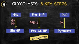 Glycolysis Made Easy: Pathway + Regulation | USMLE Step 1
