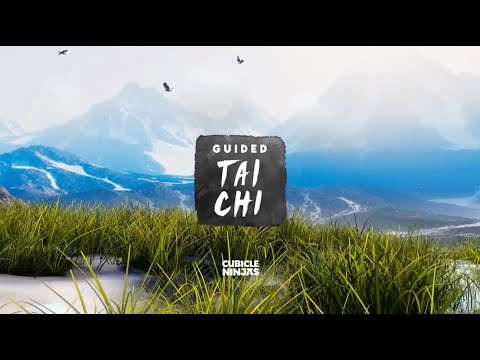 Guided Tai Chi  - Flow - Gentle