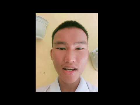 Menanam Tanaman Hias Bunga Bahagia DIEFFENBACHIA