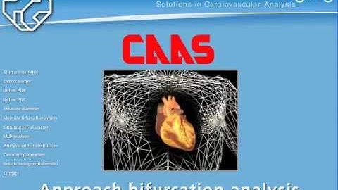 Approach to Bifurcation Analysis