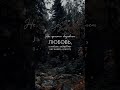 Любовь#world#успех#жизнь