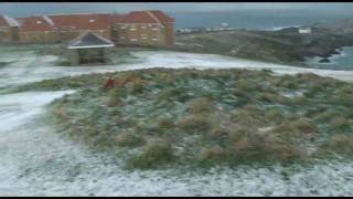 (HD) Oscar, snow & poppies