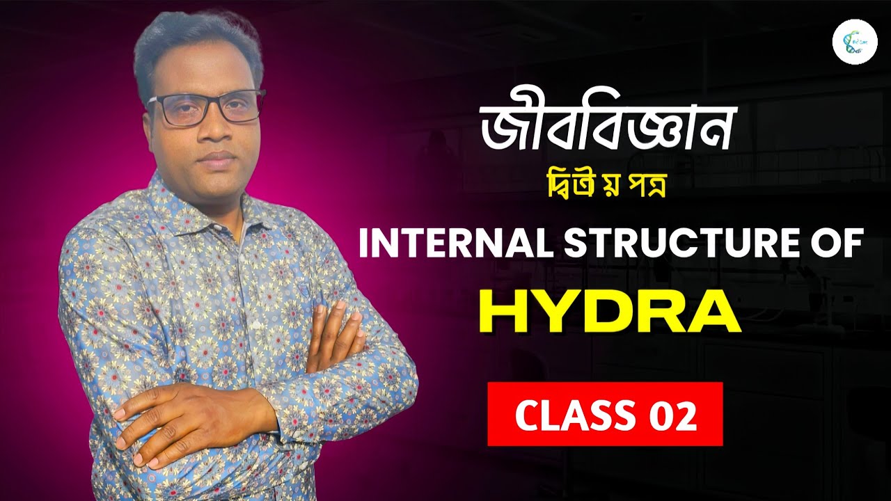 Biology. Internal structure of hydra.জীববিজ্ঞান দ্বিতীয় পত্র। Dinesh sir 