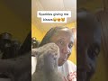 Sparkles giving me kisses