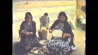 Copy of Merali Panju Video