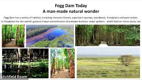 Pauline Cass, Ecosystem management of a man-made n...