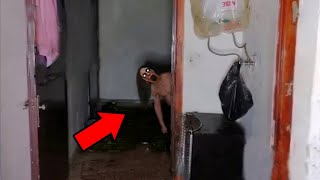 Top 5 Scary Ghost Videos That'll Ruin Your Sleep Tonight !