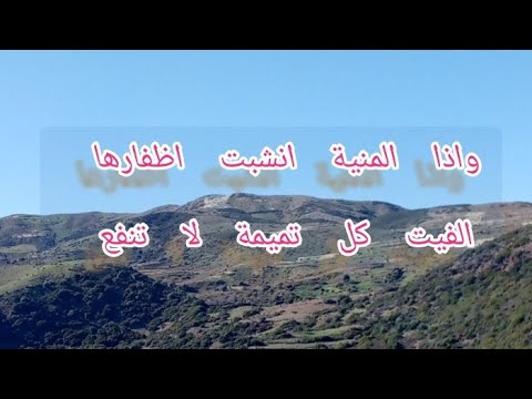 شاهدالآن  وقفة مع قول الشاعر عنترة بن شداد العبسي واذا المنية انشبت اظفارها البيت الخ