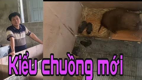 MẪU CHUỒNG DÚI HAY HIỆU QUẢ SAU NHIỀU LẦN THẤT BẠI CỦA ANH NÔNG DÂN QUYẾT KHÔNG BỎ ĐAM MÊ
