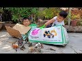 Trò Chơi Bé Vui Khu Vườn Thần Kỳ ❤ ChiChi ToysReview TV ❤ Đồ Chơi Trẻ Em Baby Doli Song
