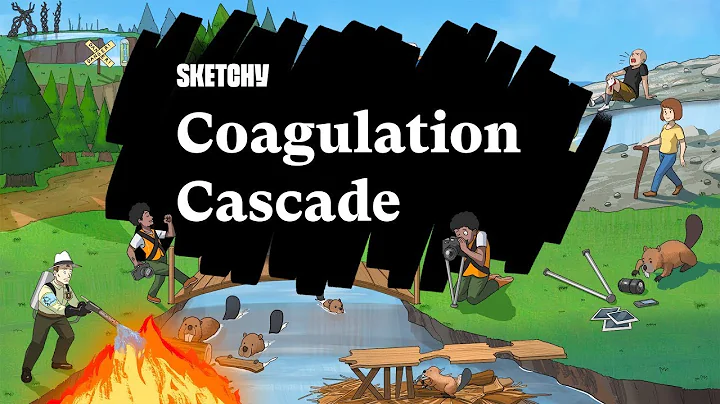 Coagulation Cascade (Part 1) | Sketchy Medical | USMLE Step 1