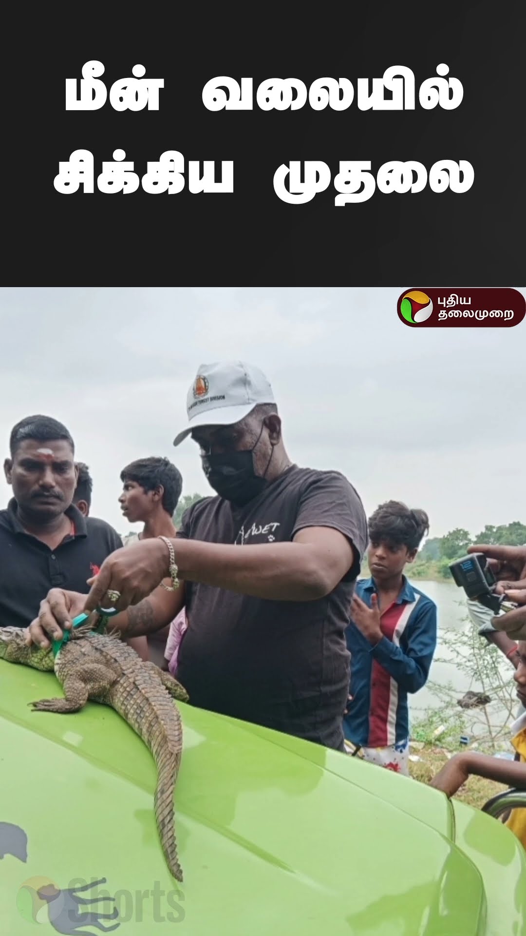 மீன் வலையில் சிக்கிய முதலை | #shorts | #crocodile | #thanjavur