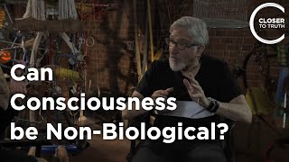Ned Block - Can Consciousness be Non-Biological?