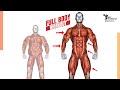 Active Recovery Stretching । 10 Min Full Body Flexibility At Home