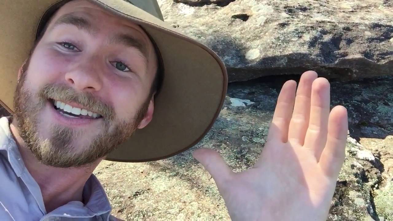 wildlife tea SNAKES IN AUSTRALIA with Ranger Jamie