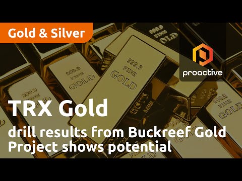 TRX Gold drill results from two key areas of the Buckreef Gold Project shows resource potential