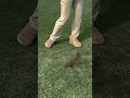 Golf Universal Fundamental YOU NEED