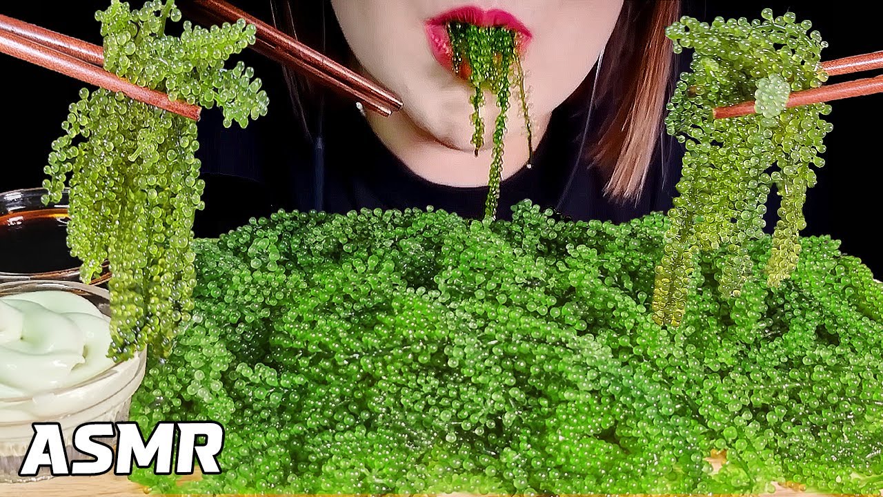 ASMR SEA GRAPES 바다포도 리얼사운드 먹방 MUKBANG EATING SOUNDS NO TALKING | Milly ASMR
