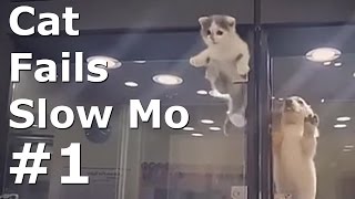 Funny Cat Fails 2017 In Slow Motion Funny Cats Video Compilation
