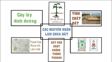 Nông dân cần biết- Độ chua của đất (hiểu rõ hơn về pH đất) và các yếu tố làm pH tăng cao