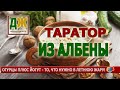 Таратор - лучшее летнее блюдо (холодный суп из Болгарии)