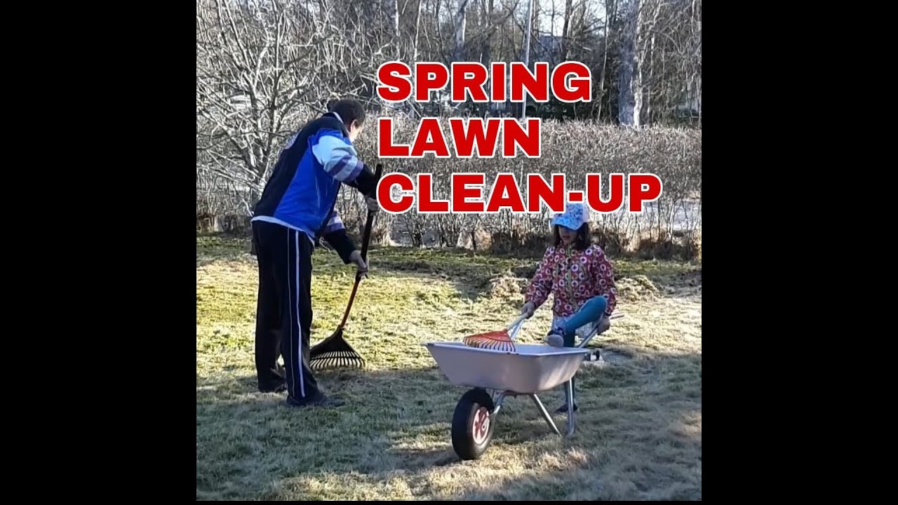 SPRING LAWN CLEAN-UP/REMOVING DEAD GRASS