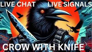 Crow With Knife Crypto Live