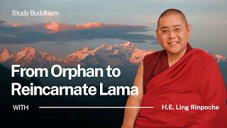 From Orphanage To Reincarnate Lama Ling Rinpoches Story