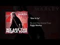 Stir It Up – Ziggy Marley live | We Are The People Tour, 2017