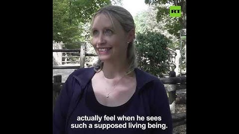 German Zoo Experiments with Robot Dog Exhibit