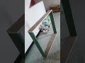balalji interior designer suthaliya #viral #interiordesign #designerfurniture #suthaliya #shorts