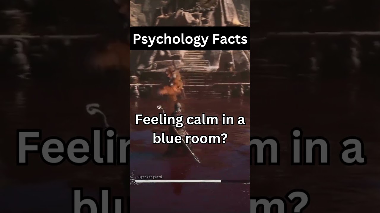 Why Blue Rooms Make You Feel Calm – Psychology of Color!