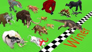 Ultimate Race 40 Wild Animals Speed Challenge: Which is the Fastest? Animal Revolt Battle Simulator screenshot 4