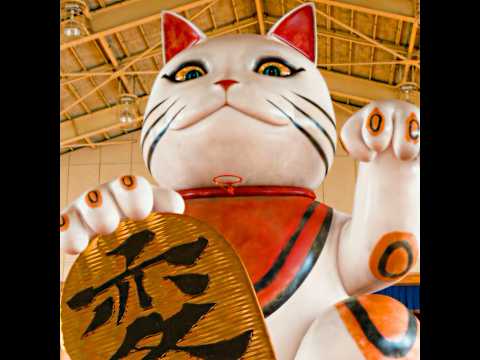 As the Gods Will (2014)| Cats won't let you win the game easily 🐱🏆🎈💥