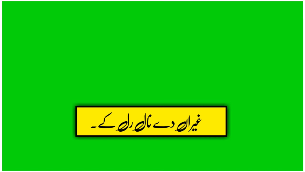 New saraiki song green screen status #punjabigreenbackgroundvideo || Urdu lyrics || Jani Writes