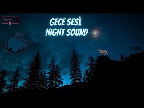 GECE SESİ | NIGHT SOUND | RAHATLATICI SESLER | CRICKET&WOLF HOWLING | RELAXING SOUNDS