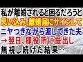 【スカッとする話】夫婦喧嘩の度に私が離婚されると困るだろうと思い込み離婚届を突きつける勘違い夫！希望通り即役所に提出してやった結果‥