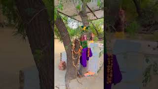 Download Lagu राधा रानी के प्रिय भक्त गुलाब सखी की कहानी। MP3